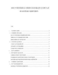 2025中國再保險公司保險行業市場競爭力分析與企業未來發展計劃研究報告