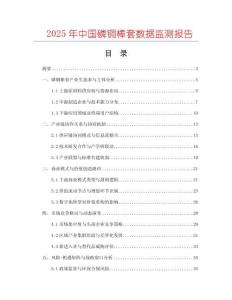 2025年中國(guó)磷銅棒套數(shù)據(jù)監(jiān)測(cè)報(bào)告