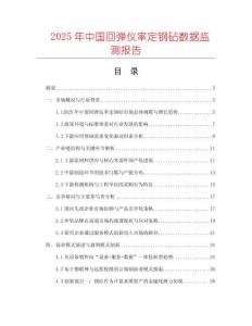 2025年中國回彈儀率定鋼砧數據監測報告
