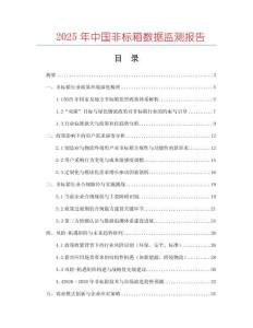 2025年中國非標箱數據監測報告