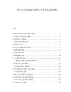 2025航空航天技術(shù)發(fā)展與市場(chǎng)投資機(jī)會(huì)評(píng)估