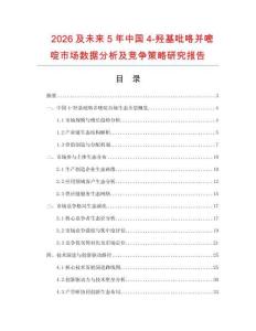 2026及未來5年中國4-羥基吡咯并嘧啶市場數(shù)據(jù)分析及競爭策略研究報告