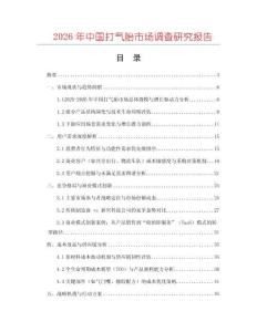 2026年中國打氣胎市場調(diào)查研究報告