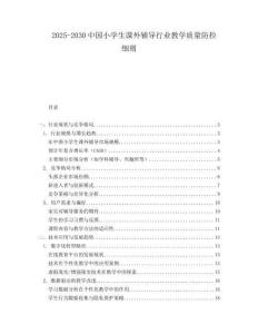2025-2030中國小學生課外輔導行業教學質量防控細則