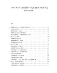 2025-2030中國新能源汽車充電樁行業(yè)市場需求及布局規(guī)劃分析