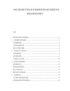 2025國內(nèi)航空客運業(yè)市場現(xiàn)狀供需分析及投資評估規(guī)劃分析研究報告