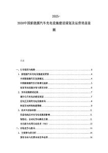2025-2030中國新能源汽車充電設(shè)施建設(shè)規(guī)劃及運(yùn)營效益監(jiān)測