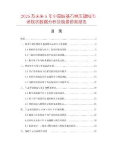 2026及未來5年中國胺基石棉壓塑料市場現狀數據分析及前景預測報告