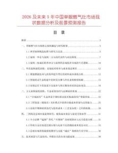 2026及未來5年中國單眼燃氣灶市場現(xiàn)狀數(shù)據(jù)分析及前景預測報告
