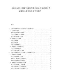 2025-2030中國新能源汽車電機(jī)行業(yè)市場供需結(jié)構(gòu)及投資風(fēng)險(xiǎn)評(píng)估分析研究報(bào)告
