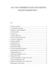 2025-2030中國新能源汽車電機(jī)行業(yè)技術(shù)趨勢供需研究投資評(píng)估規(guī)劃研究報(bào)告