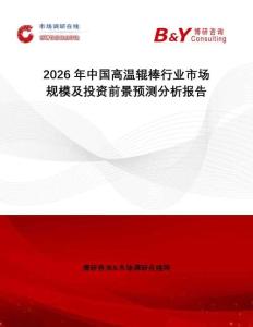2026年中國高溫輥棒行業市場規模及投資前景預測分析報告