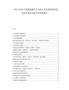 2025-2030中國新能源汽車電機(jī)行業(yè)市場供需結(jié)構(gòu)分析及投資風(fēng)險(xiǎn)分析規(guī)劃報(bào)告
