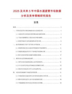 2025及未來(lái)5年中國(guó)水道直管市場(chǎng)數(shù)據(jù)分析及競(jìng)爭(zhēng)策略研究報(bào)告