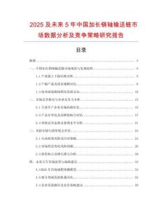 2025及未來5年中國加長銷軸輸送鏈市場數(shù)據(jù)分析及競爭策略研究報告
