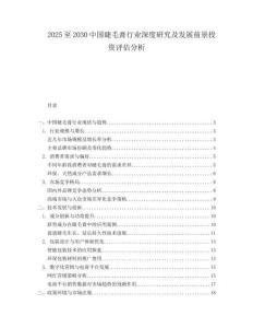 2025至2030中國(guó)睫毛膏行業(yè)深度研究及發(fā)展前景投資評(píng)估分析