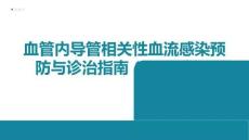 血管內(nèi)導(dǎo)管相關(guān)性血流感染預(yù)防與診治指南（2026版）