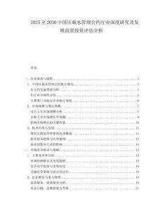 2025至2030中國壓載水管理公約行業深度研究及發展前景投資評估分析