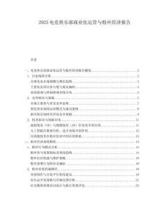 2025電競俱樂部商業(yè)化運營與粉絲經濟報告