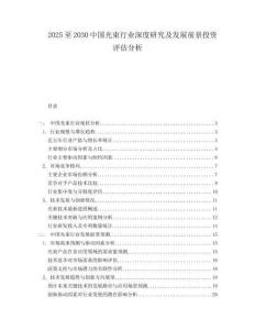 2025至2030中國光束行業深度研究及發展前景投資評估分析