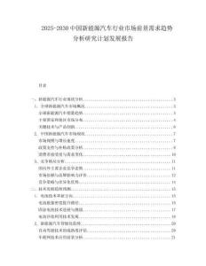 2025-2030中國新能源汽車行業市場前景需求趨勢分析研究計劃發展報告