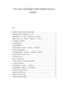 2025-2030中國新能源汽車整車控制器市場分析與發展報告