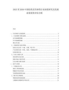2025至2030中國給藥靈丹妙藥行業深度研究及發展前景投資評估分析
