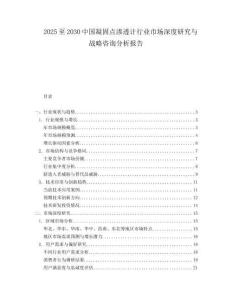 2025至2030中國凝固點滲透計行業市場深度研究與戰略咨詢分析報告