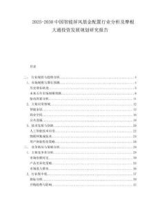 2025-2030中國智能屏風(fēng)基金配置行業(yè)分析及摩根大通投資發(fā)展規(guī)劃研究報告