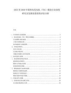 2025至2030中國熱電發(fā)電機(jī)（TEG）模塊行業(yè)深度研究及發(fā)展前景投資評估分析