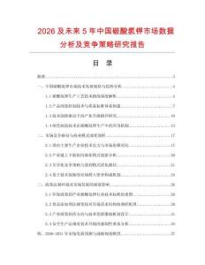 2026及未來5年中國碳酸氫鉀市場數(shù)據(jù)分析及競爭策略研究報告