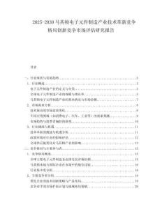 2025-2030馬其頓電子元件制造產業技術革新競爭格局創新競爭市場評估研究報告
