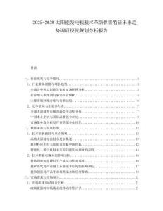 2025-2030太陽能發(fā)電板技術革新供需特征未來趨勢調研投資規(guī)劃分析報告