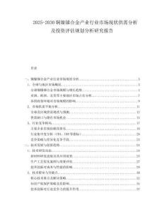 2025-2030銅鎳銻合金產(chǎn)業(yè)行業(yè)市場現(xiàn)狀供需分析及投資評估規(guī)劃分析研究報告