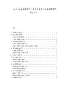 2025-2030隆重推出行業(yè)市場深度分析及品牌營銷創(chuàng)新研究