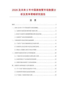 2026及未來5年中國高鉻管市場數(shù)據(jù)分析及競爭策略研究報告