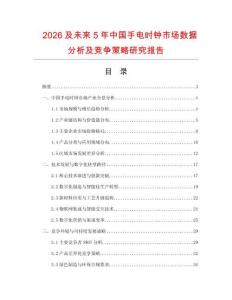 2026及未來5年中國(guó)手電時(shí)鐘市場(chǎng)數(shù)據(jù)分析及競(jìng)爭(zhēng)策略研究報(bào)告