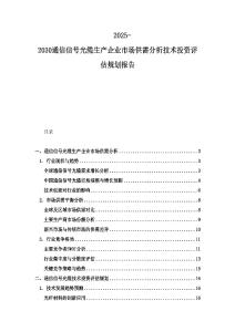 2025-2030通信信號光纜生產企業市場供需分析技術投資評估規劃報告