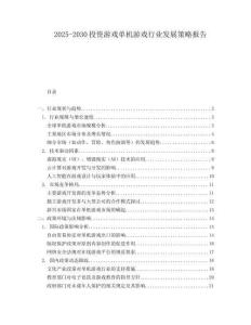 2025-2030投資游戲單機游戲行業(yè)發(fā)展策略報告