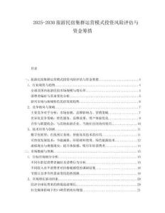 2025-2030旅游民宿集群運營模式投資風險評估與資金籌措