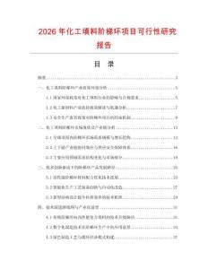 2026年化工填料階梯環項目可行性研究報告