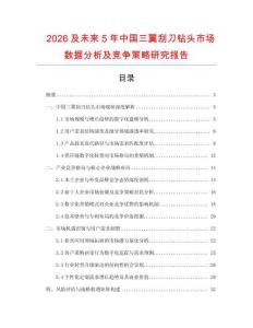 2026及未來5年中國三翼刮刀鉆頭市場數(shù)據(jù)分析及競爭策略研究報告