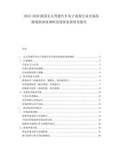2025-2030我國無人駕駛汽車電子系統行業市場發展現狀深度調研及投資前景研究報告