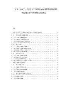 2025-2030無人駕駛卡車運輸行業市場供需現狀投資評估及產業規劃發展報告