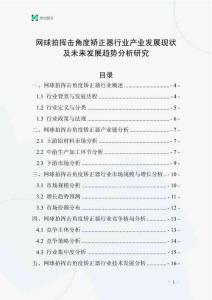 網球拍揮擊角度矯正器行業產業發展現狀及未來發展趨勢分析研究