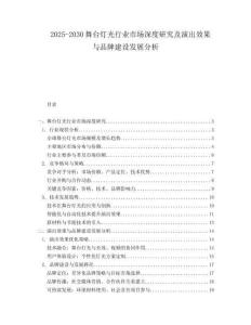 2025-2030舞臺(tái)燈光行業(yè)市場(chǎng)深度研究及演出效果與品牌建設(shè)發(fā)展分析