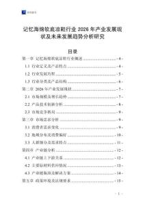 記憶海綿軟底涼鞋行業(yè)2026年產(chǎn)業(yè)發(fā)展現(xiàn)狀及未來(lái)發(fā)展趨勢(shì)分析研究