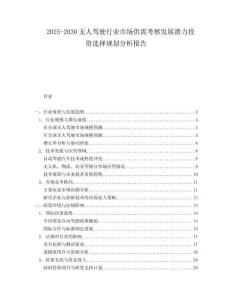 2025-2030無人駕駛行業市場供需考察發展潛力投資選擇規劃分析報告