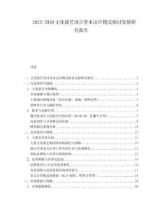 2025-2030文化演藝項目資本運作模式探討發展研究報告