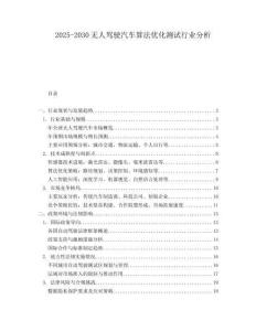 2025-2030無人駕駛汽車算法優(yōu)化測試行業(yè)分析